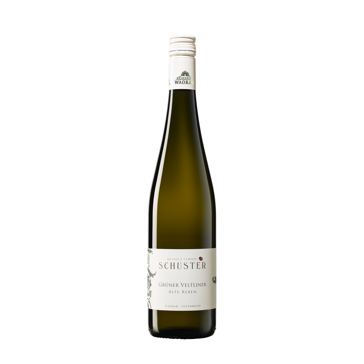 Obrázek Grüner Veltliner Wagram 2024, Weingut Schuster, Wagram, Rakousko, bio vinařství