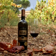 Obrázek pro kategorii Libanonská vína