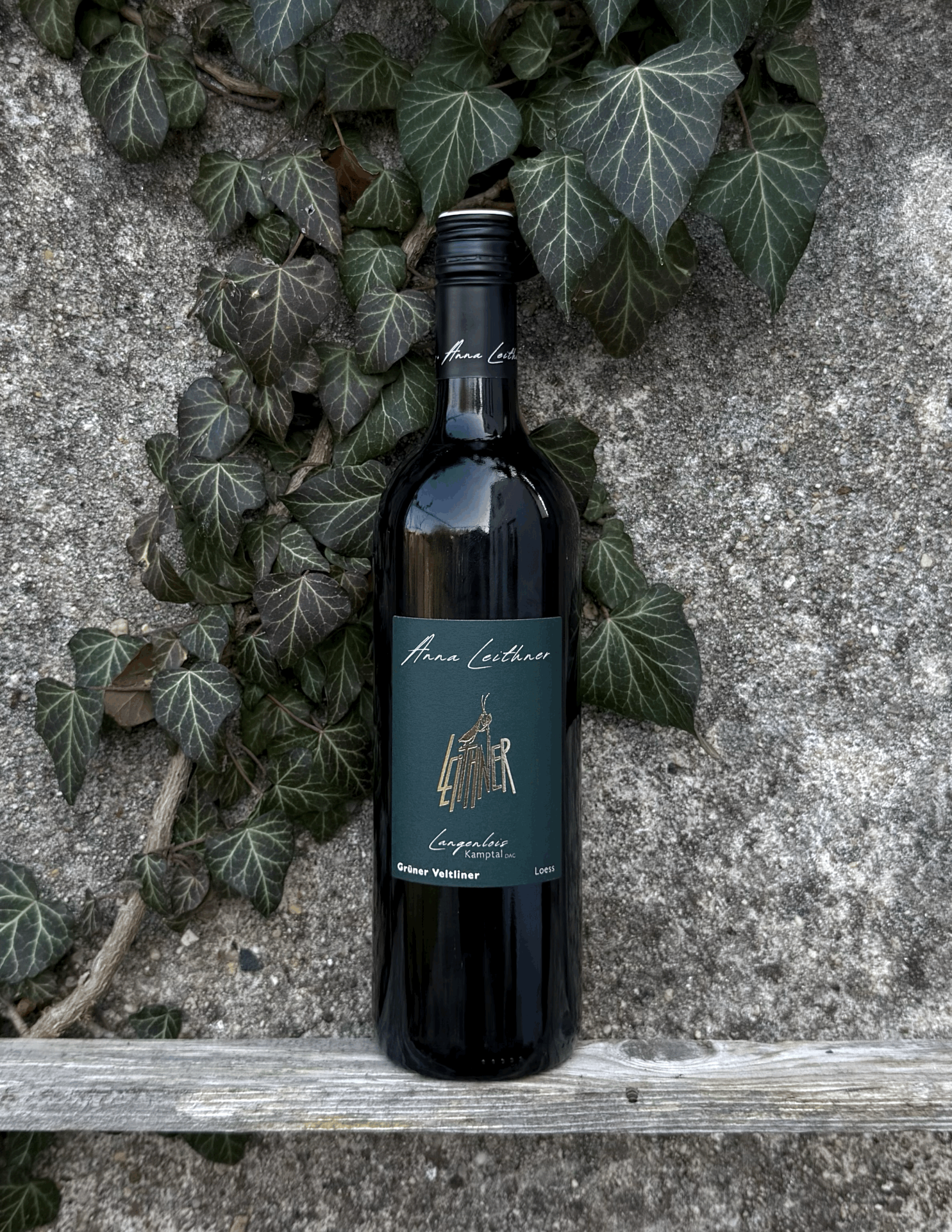 Obrázek Grüner Veltliner Langelois Loess Kamptal 2025, Weingut Leithner,  Kamptal, Rakousko