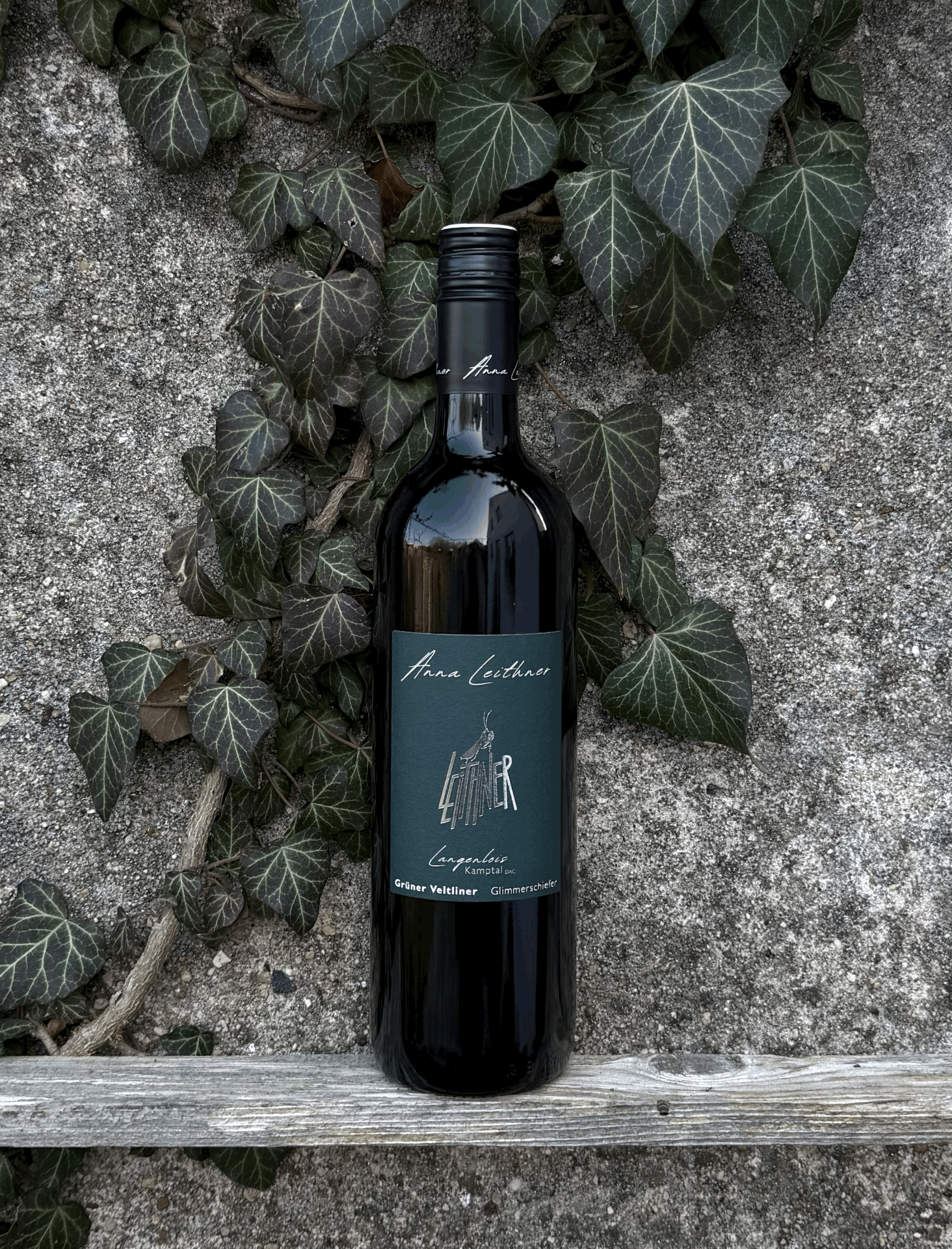 Obrázek Grüner Veltliner Glimmerschiefer Kamptal 2025, Weingut Leithner,  Kamptal, Rakousko